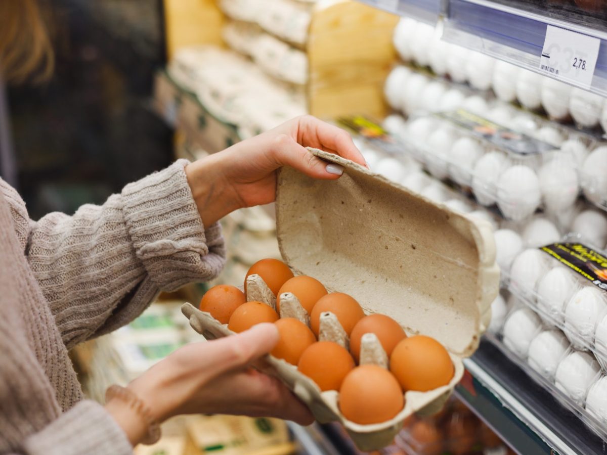 5 Tipps, die du beim Eier kaufen beachten solltest