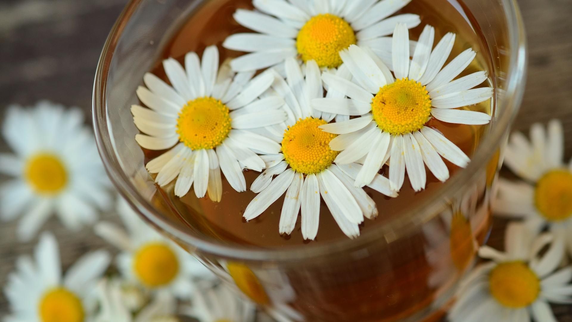 Kamillenblüten im Tee