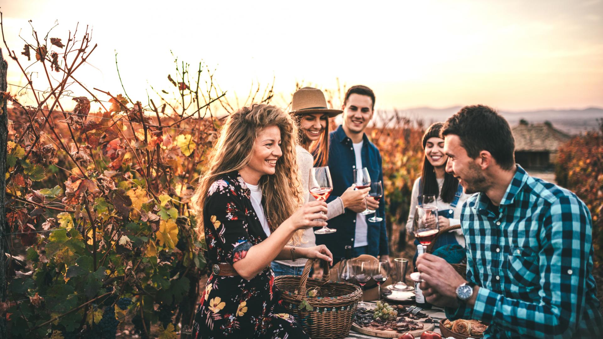 Freunde auf einem Weingut. Wine Tasting