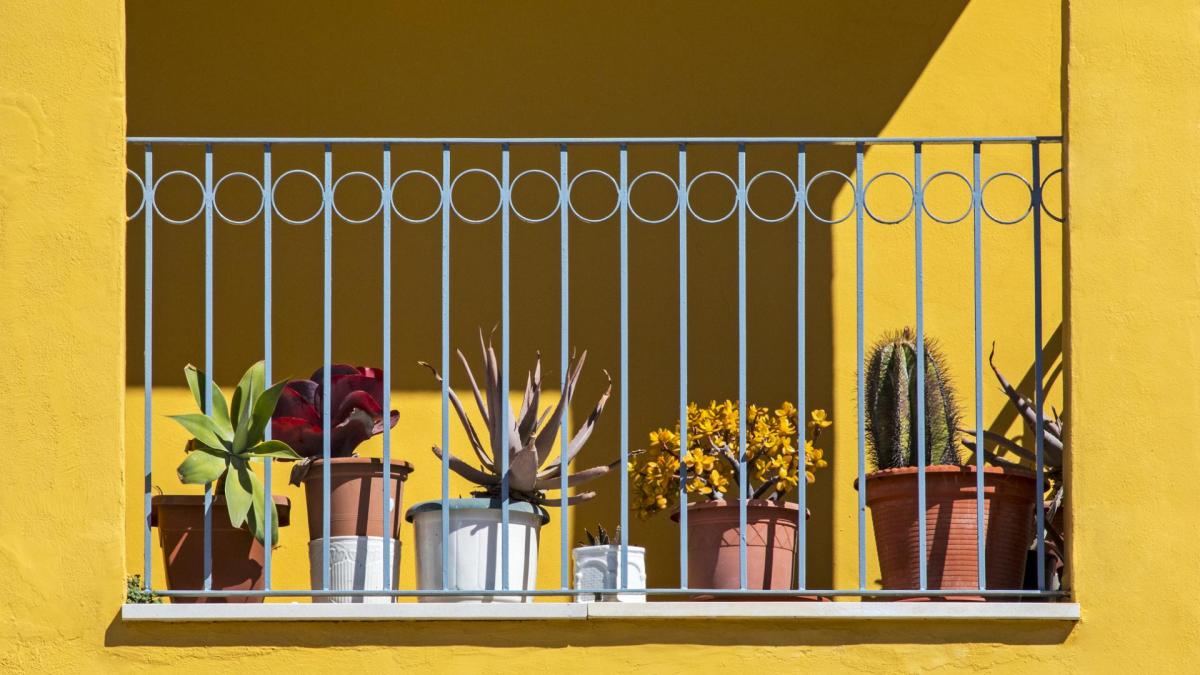 sonniger Balkon mit Pflanzen