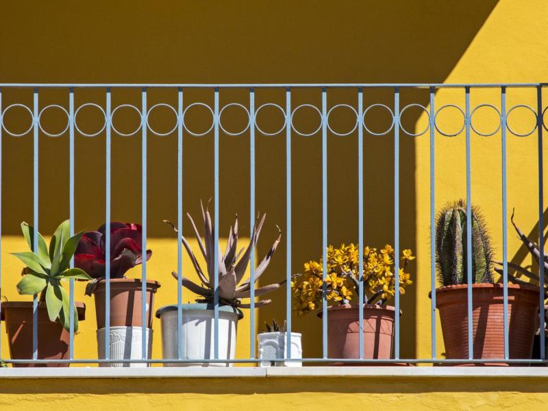 sonniger Balkon mit Pflanzen