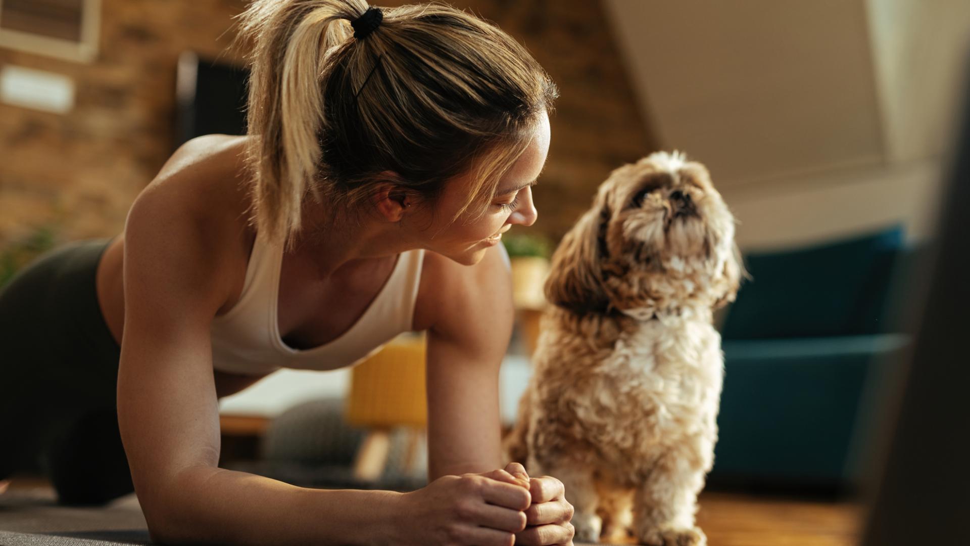 frau Hund Plank Matte