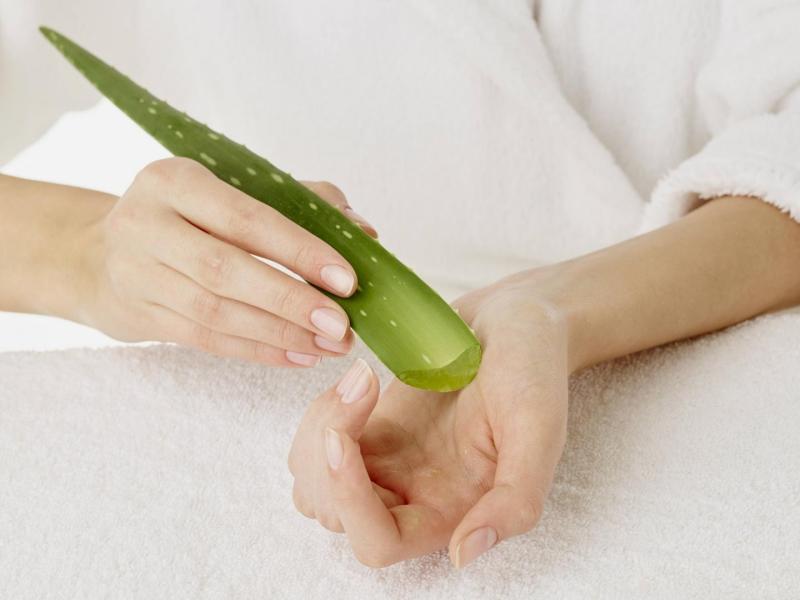 Aloe vera maske diy anleitung haare haut gesicht körper