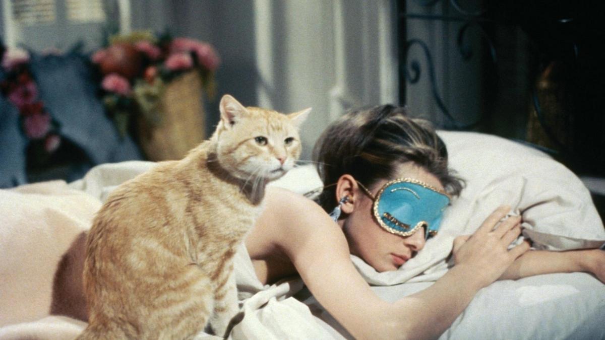 Audrey Hepburn schlafend auf dem Bett mit Katze