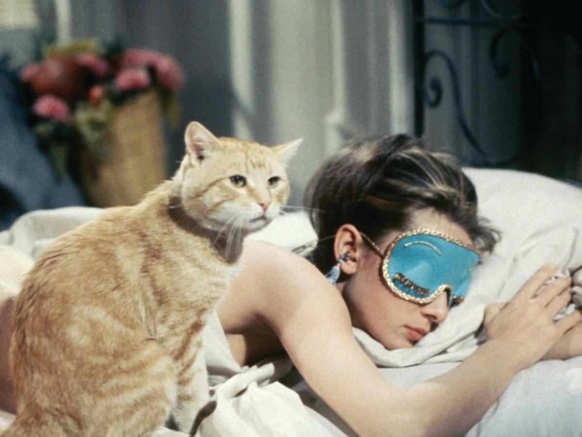 Audrey Hepburn schlafend auf dem Bett mit Katze