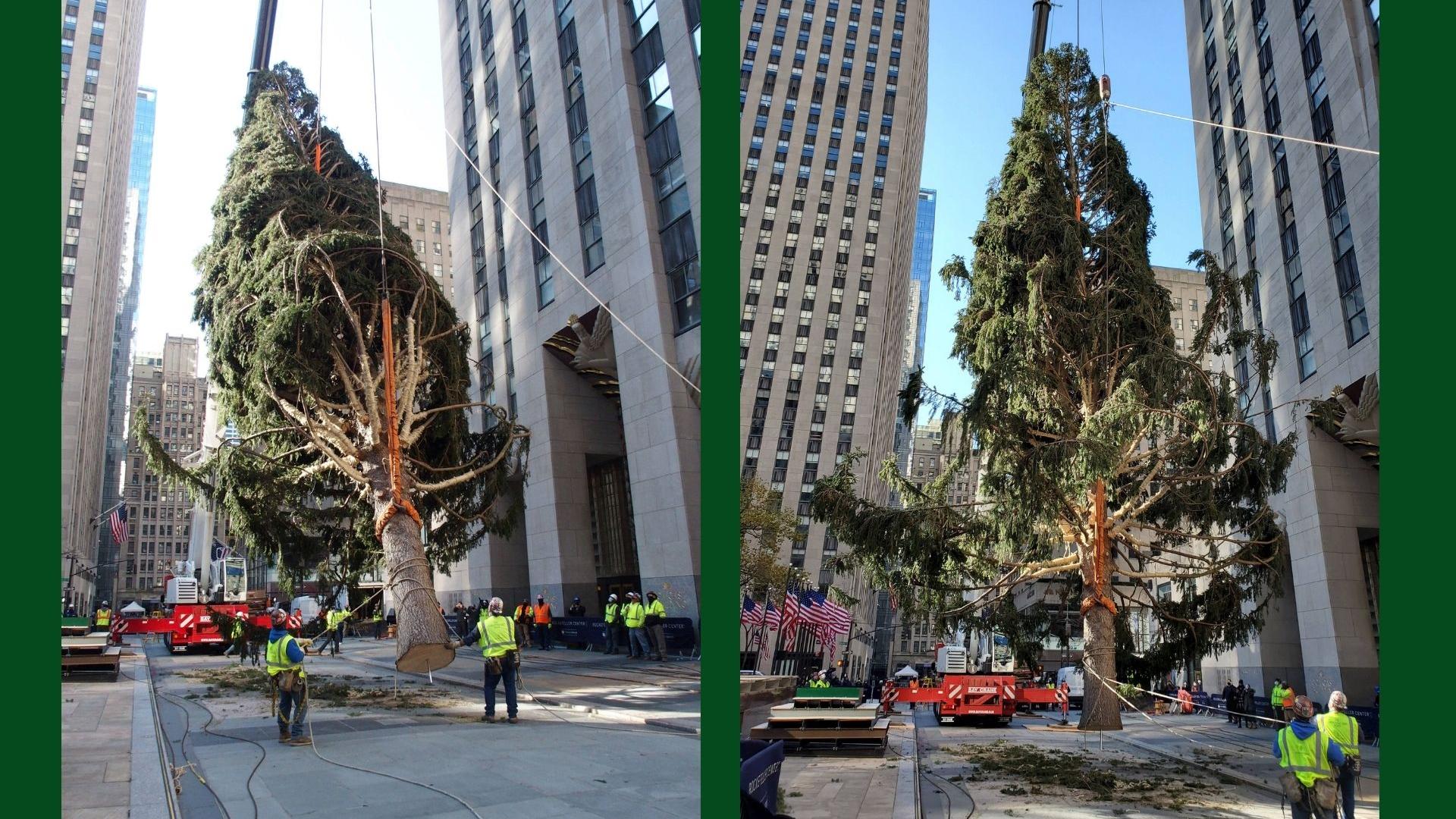 Der New Yorker Weihnachtsbaum ist so hässlich wie noch nie. Extra! wmn