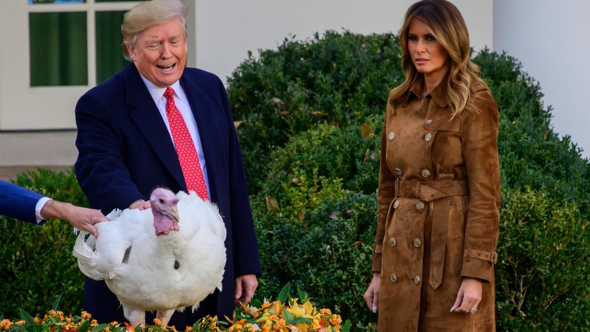 Donald Trump Thanksgiving