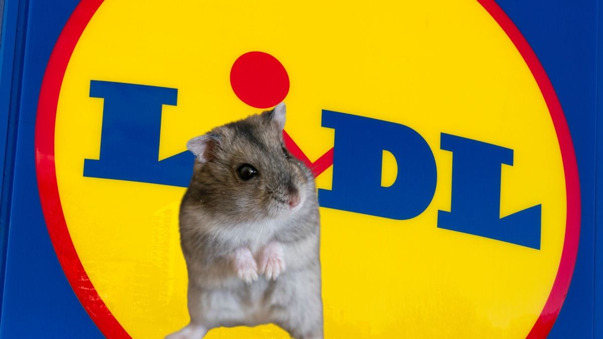 Hamsterkauf bei Lidl