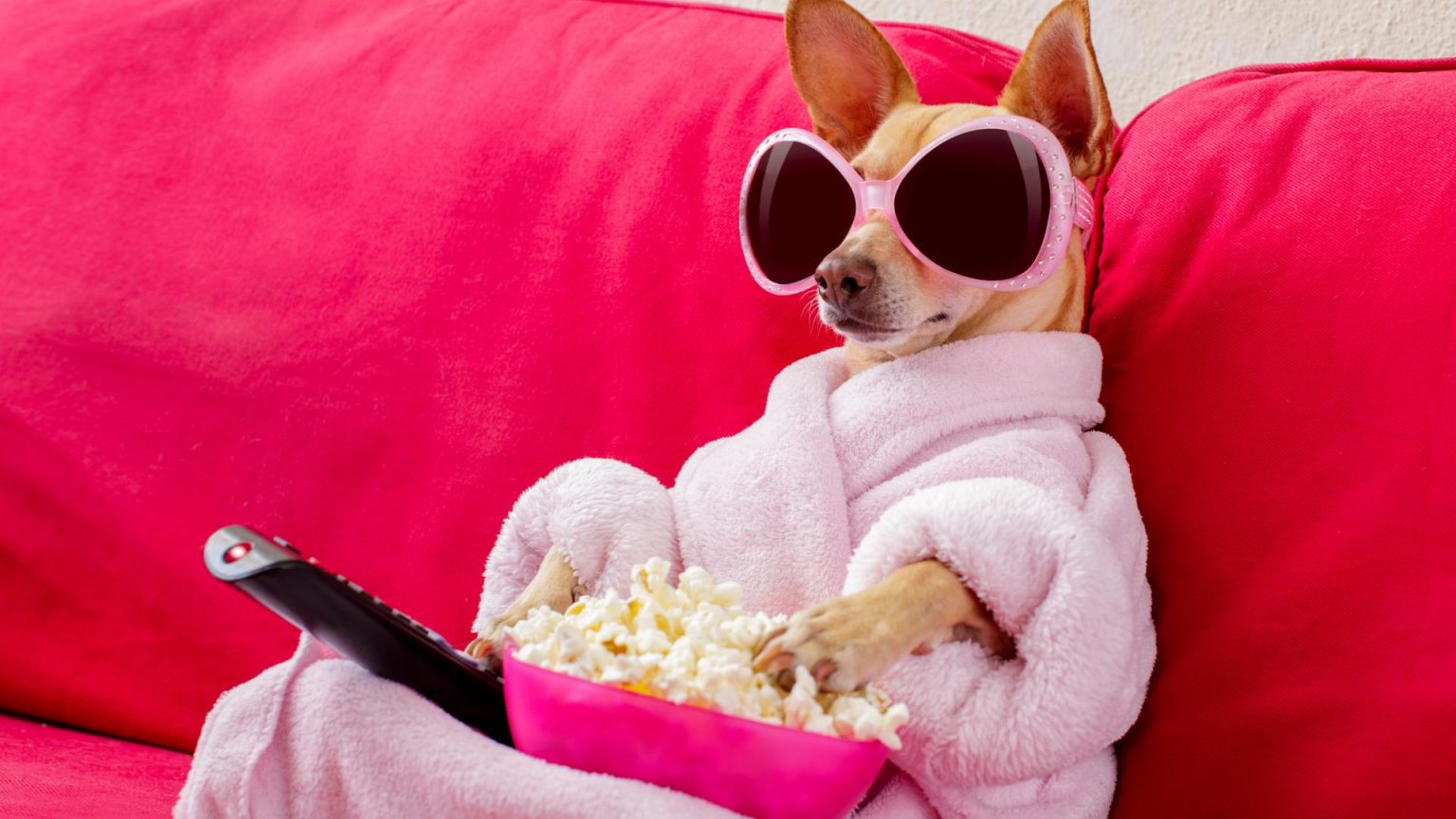 Inneren Schweinehund überwinden So trickst du deine Psyche aus wmn
