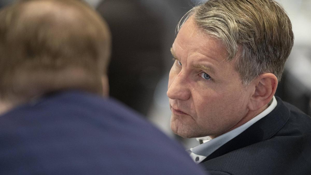 bernd höcke afd