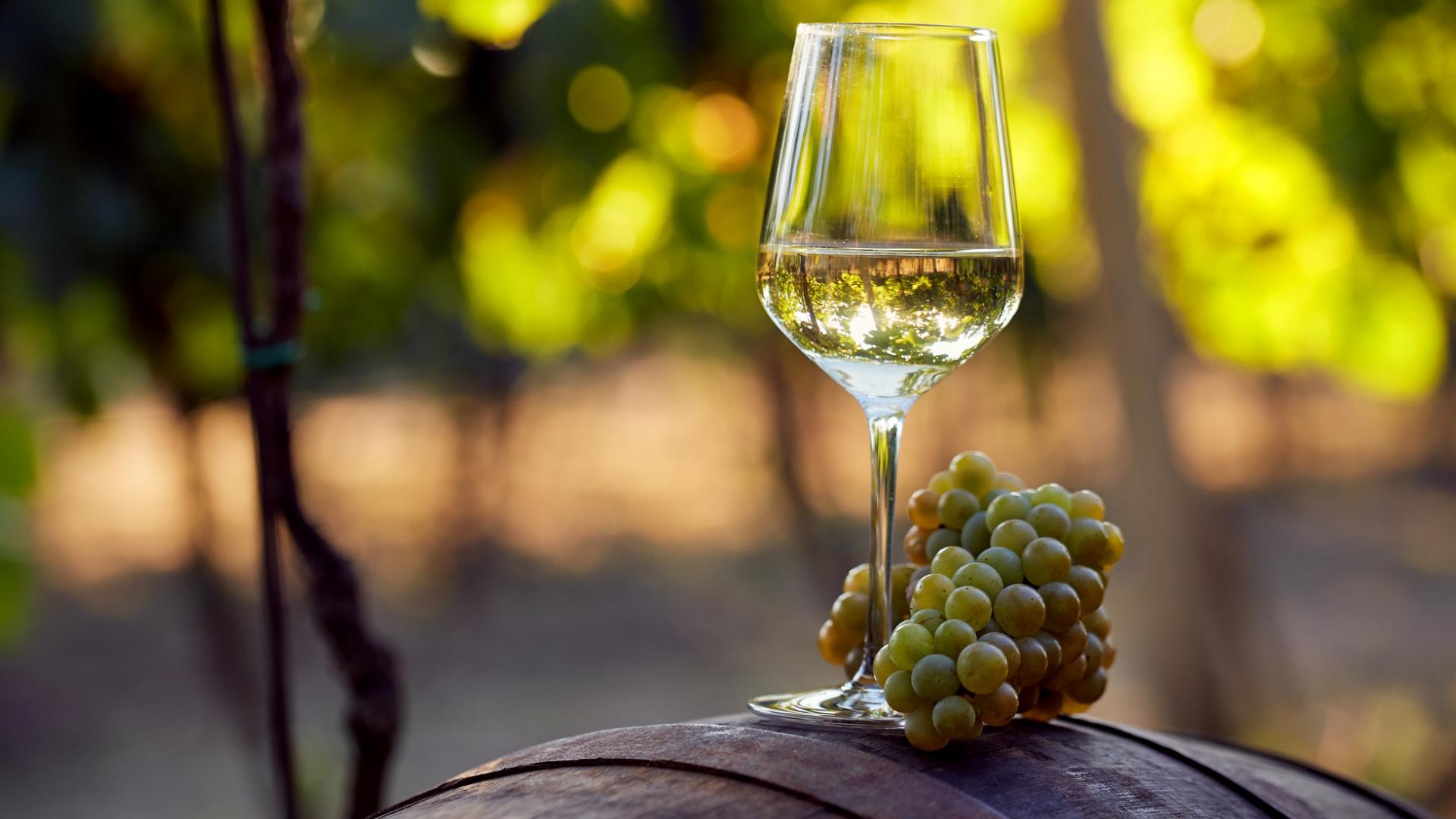 ein Glas Weißwein mit Trauben auf einem Fass in der Natur