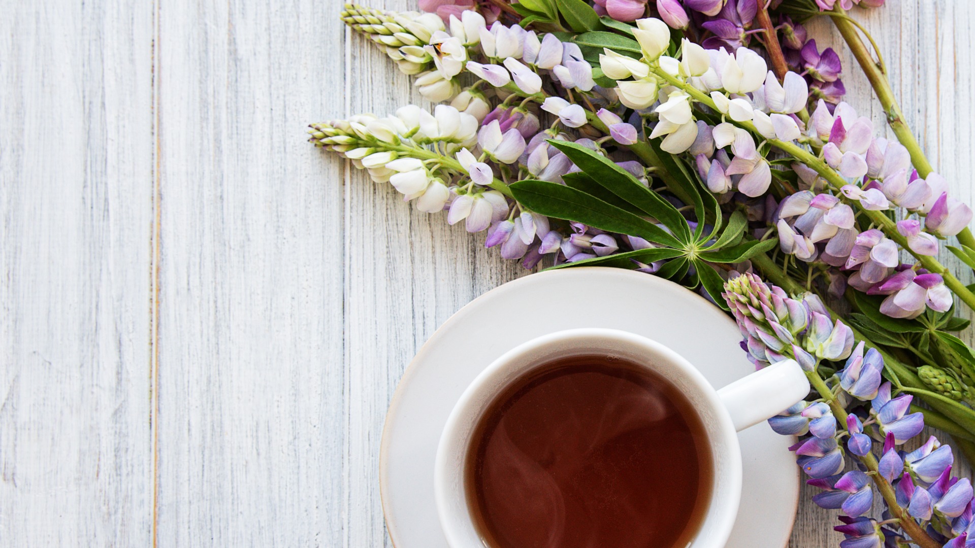 Kaffee und Lupinen als Kaffee-Ersatz