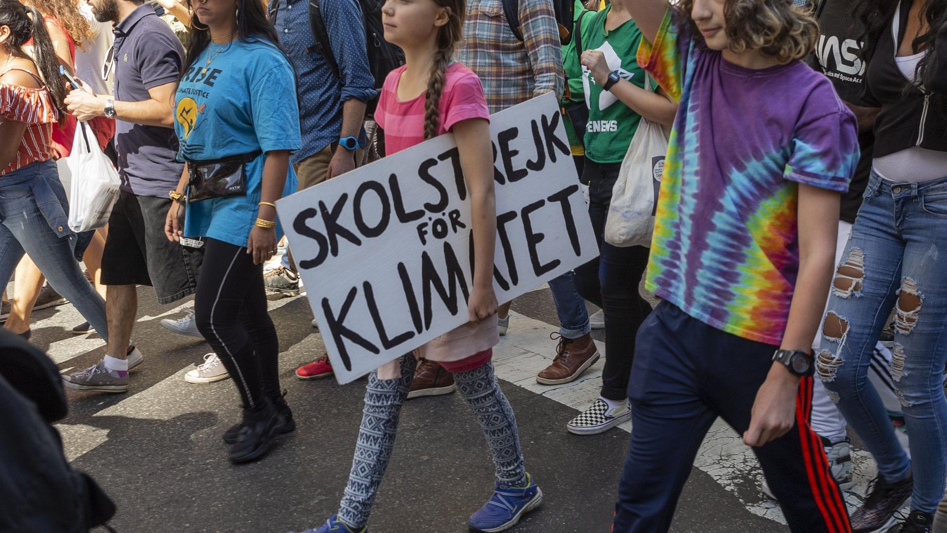 Greta Thunberg auf einem Streik