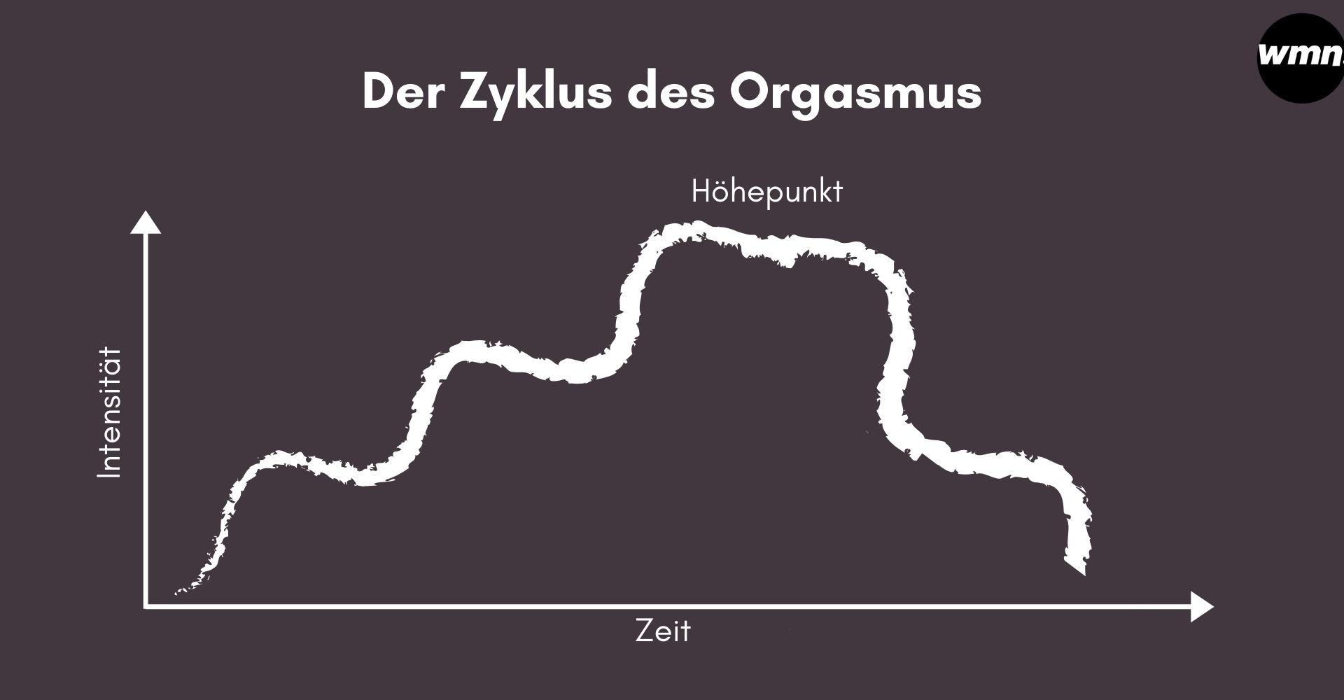 Der Zyklus des Orgasmus Grafik