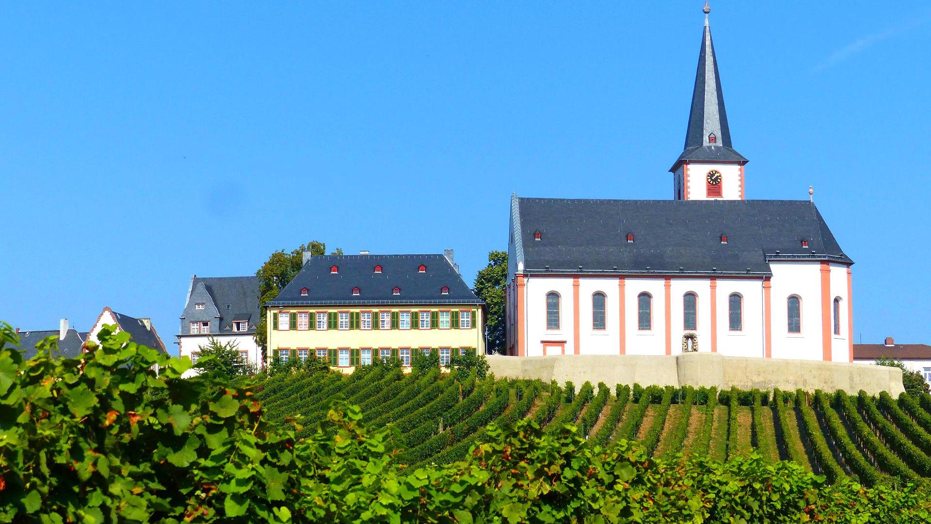 Weinwanderweg hattenheim