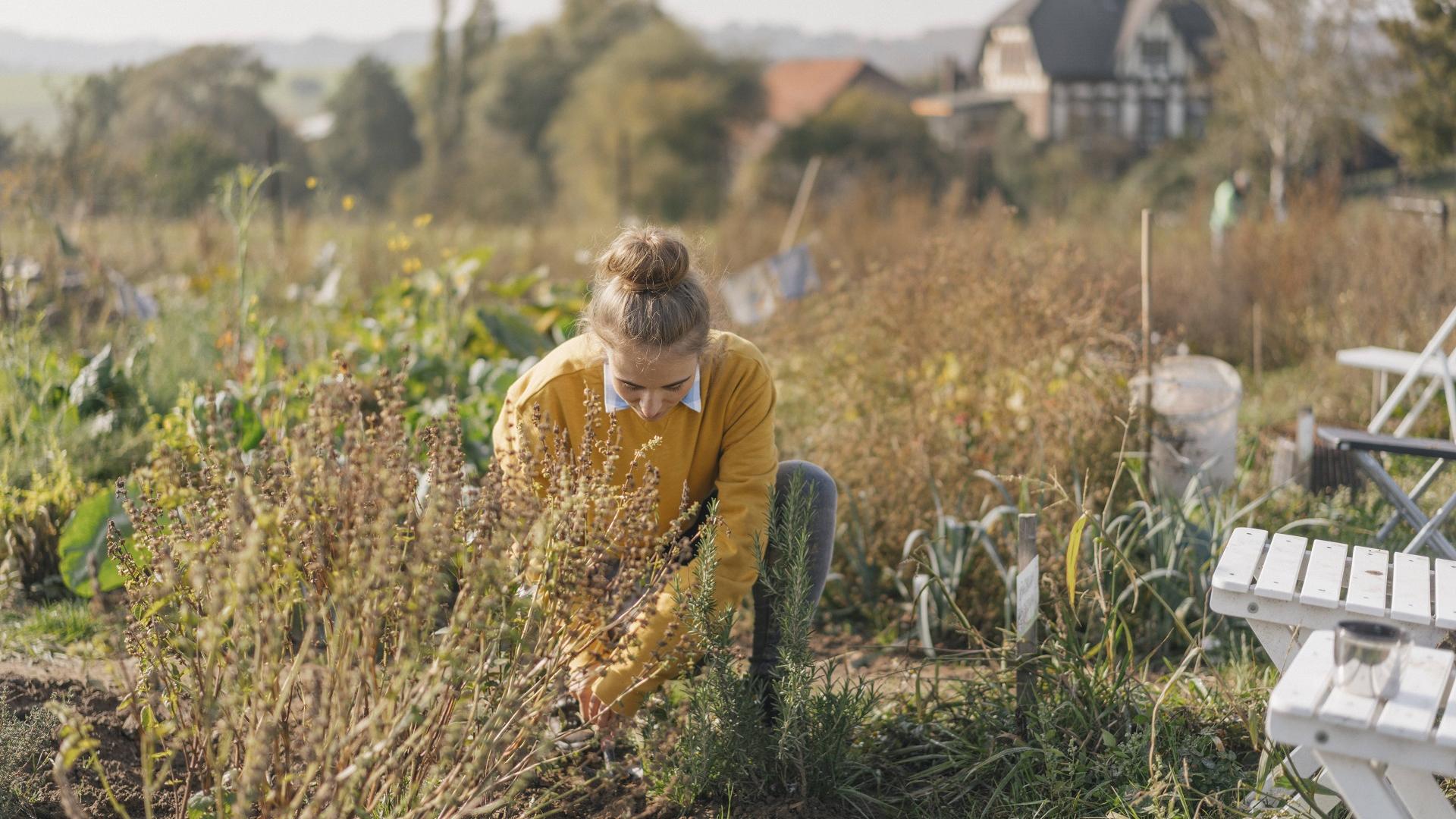 Garten Arbeit Frau Natur