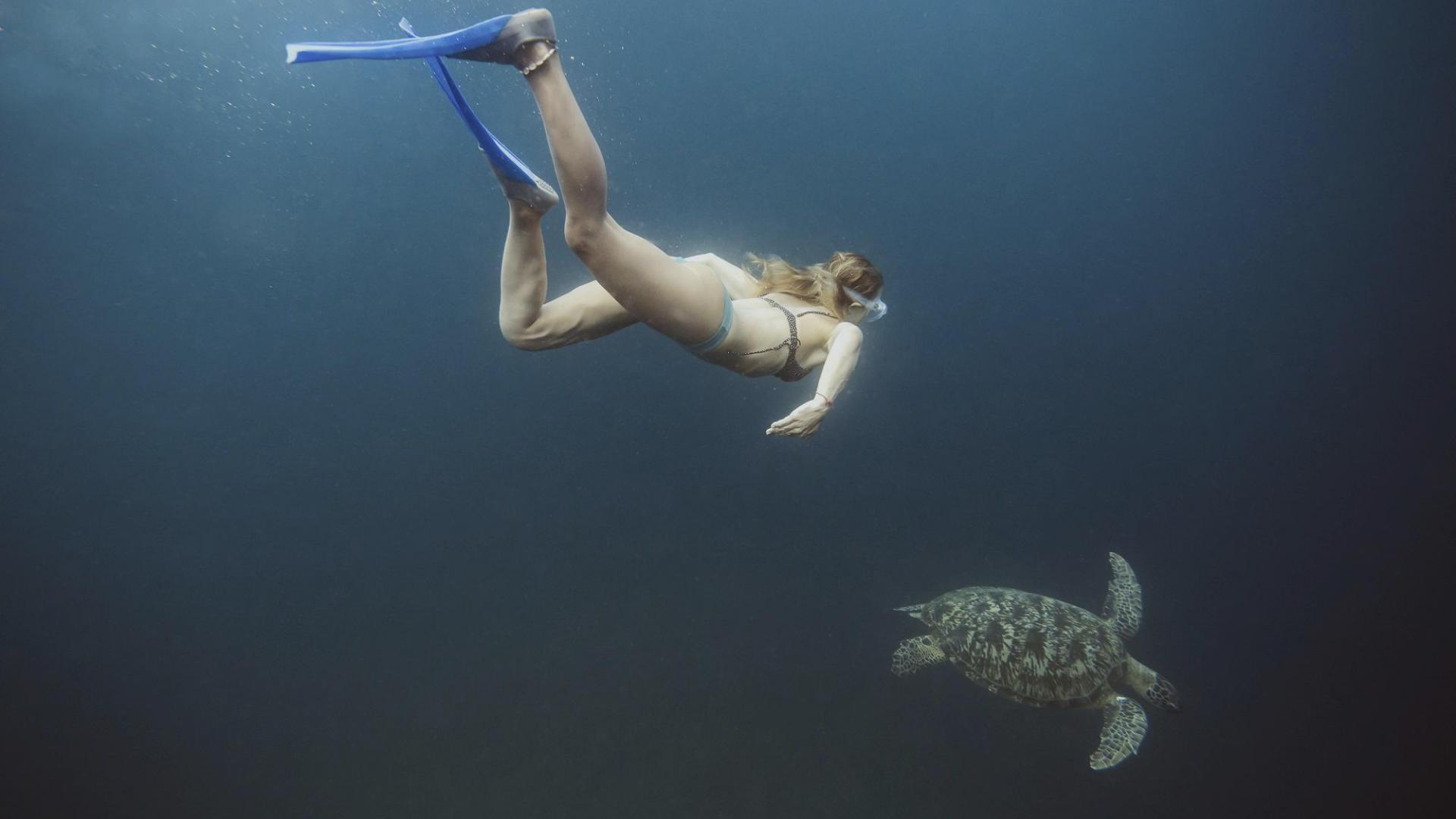 Frau Tauchen Schildkröte