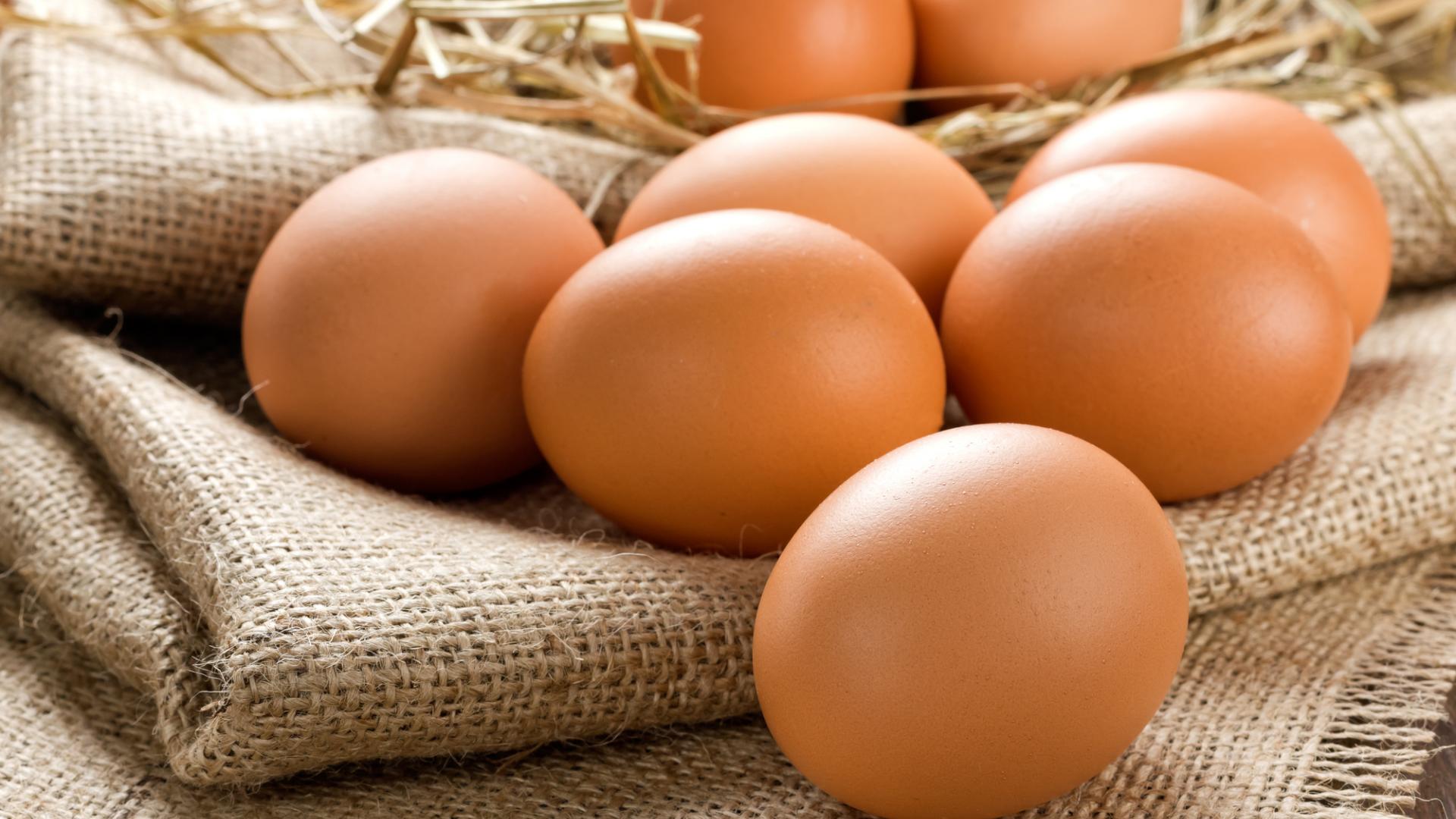Eier kaufen