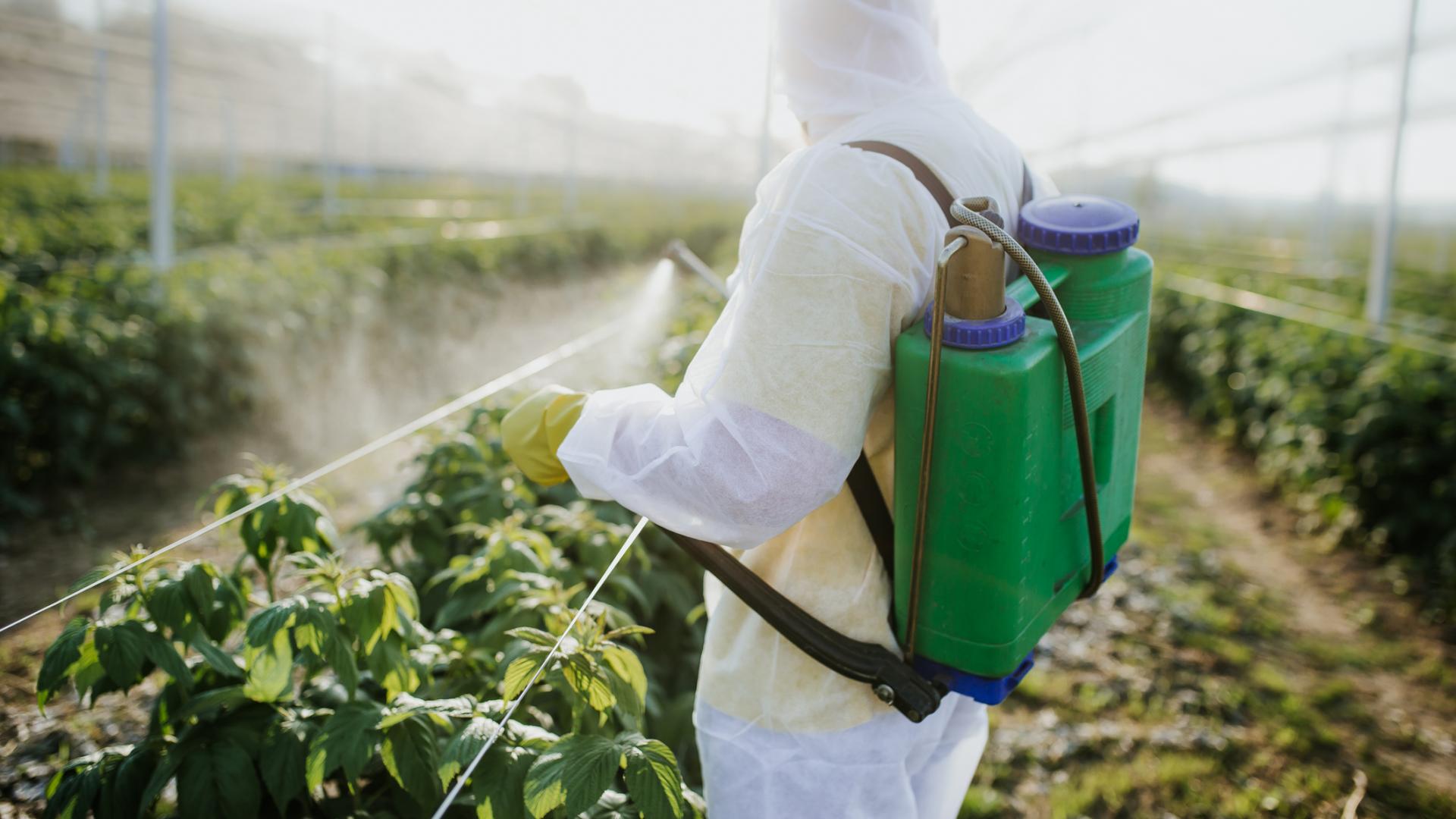 Pestizide auf Feld versprühen