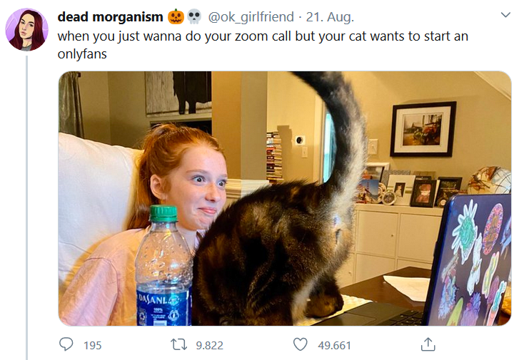 Cat Content, Twitter