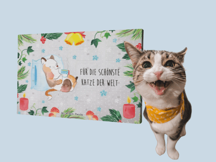 Adventskalender für Katzen