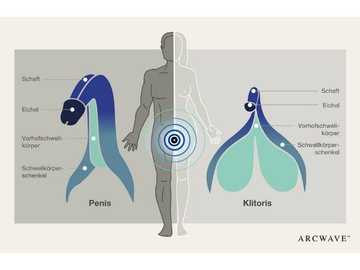 Weibliche Orgasmen für Männer