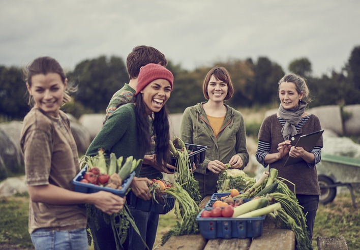 gärtnern gemüse freunde mann frauen lachen feld ernten