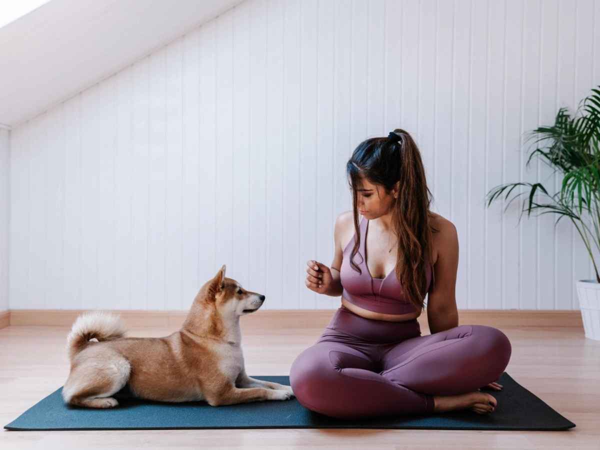 home workput yoga hund frau sport fitness pflanze zuhause