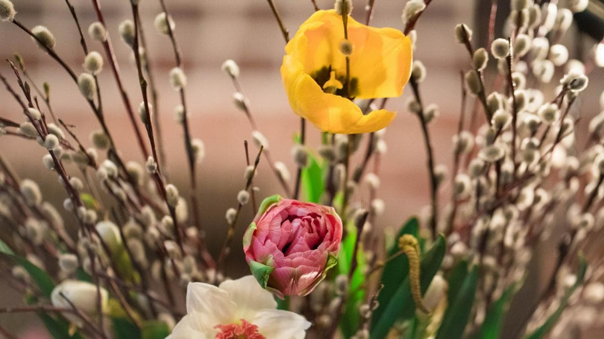 Palmkätzchen und bunte Tulpen dürfen im Osterstrauß nicht fehlen. (Symbolbild). © Naletova Elena/Shutterstock