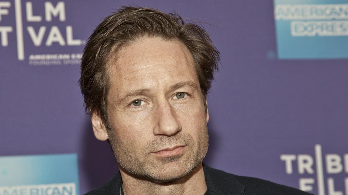 David Duchovny wurde als Fox Mulder in "Akte X - Die unheimlichen Fälle des FBI" berühmt.. © lev radin/Shutterstock
