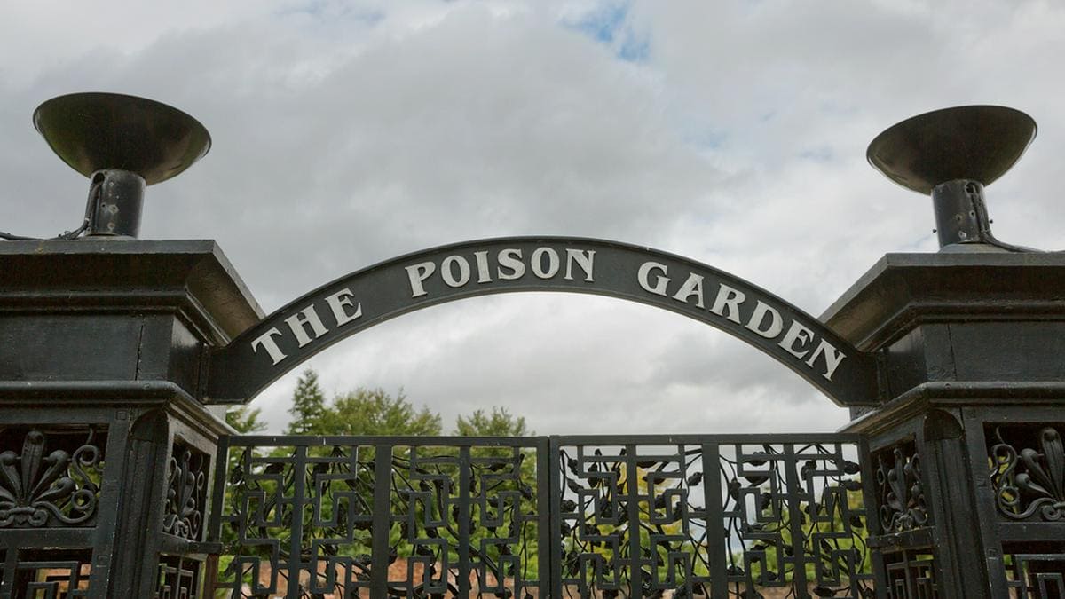 Der "Poison Garden" von Alnwick liegt in Northumberland im Nordosten Englands.. © Jiri Vondrous/ Shutterstock.com
