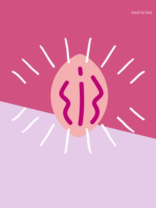 Die 5 häufigsten Vulva-Formen