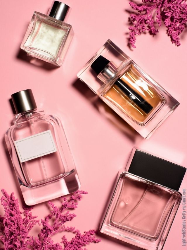 Der große Parfum-Guide