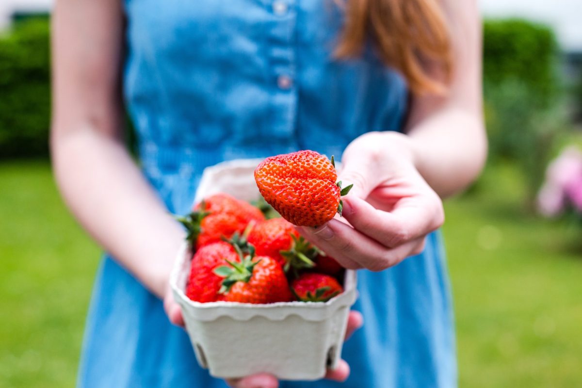 Frau Erdbeeren