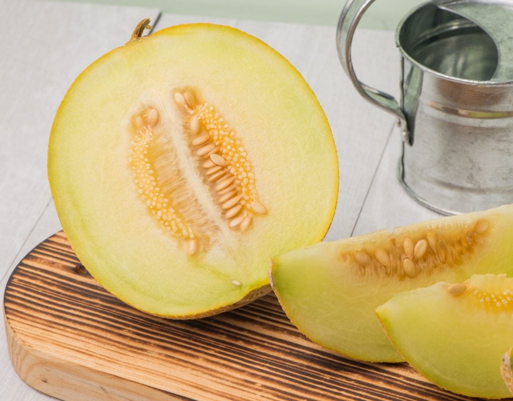 Sommer Cocktails Gurken-Melonen Spritzer