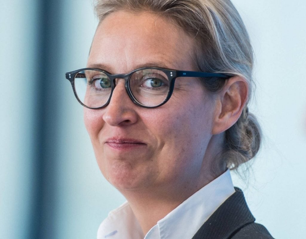 alice weidel querdenken