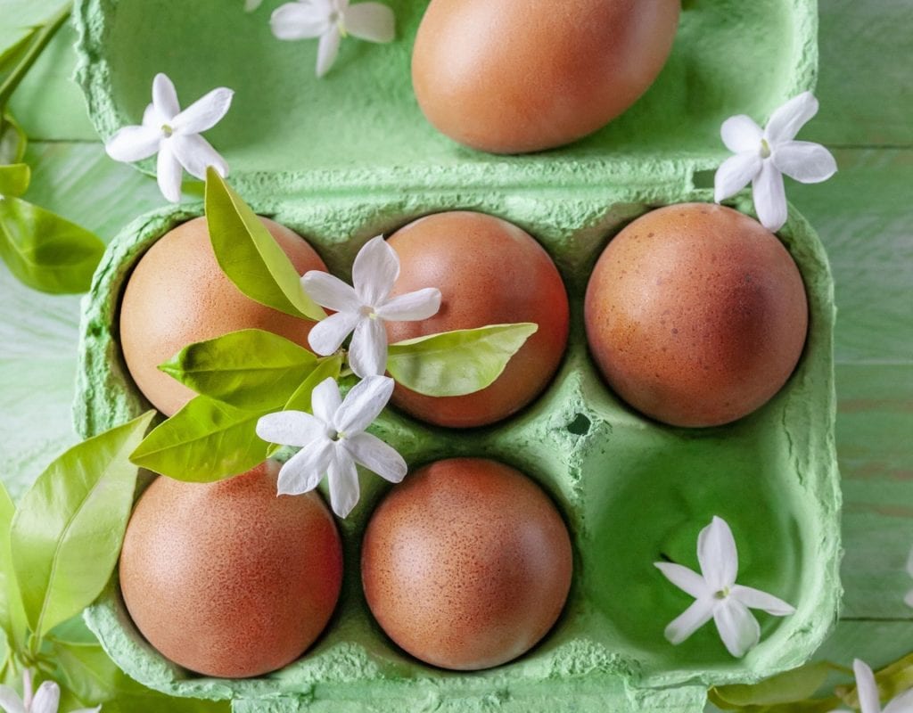 eier nachhaltigste ernährungsform lacto-vegetarisch