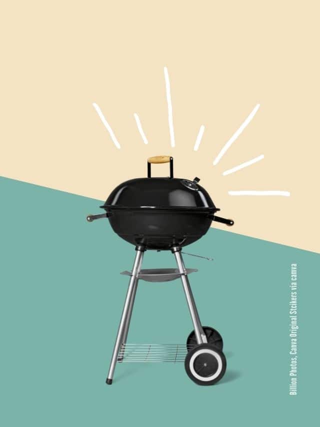 Grillen im Park