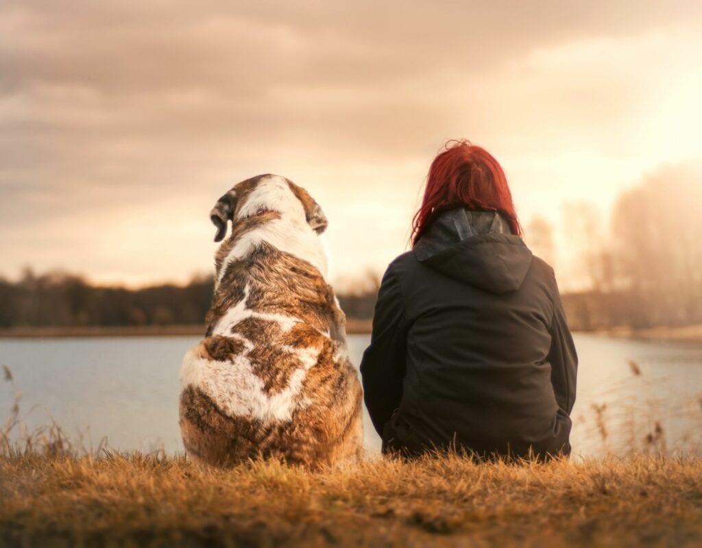 Frau und Hund Leben mit Hund