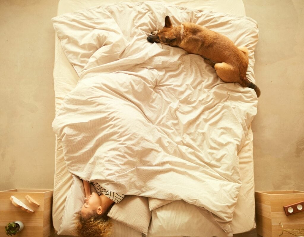 Frau mit Hund im Bett 