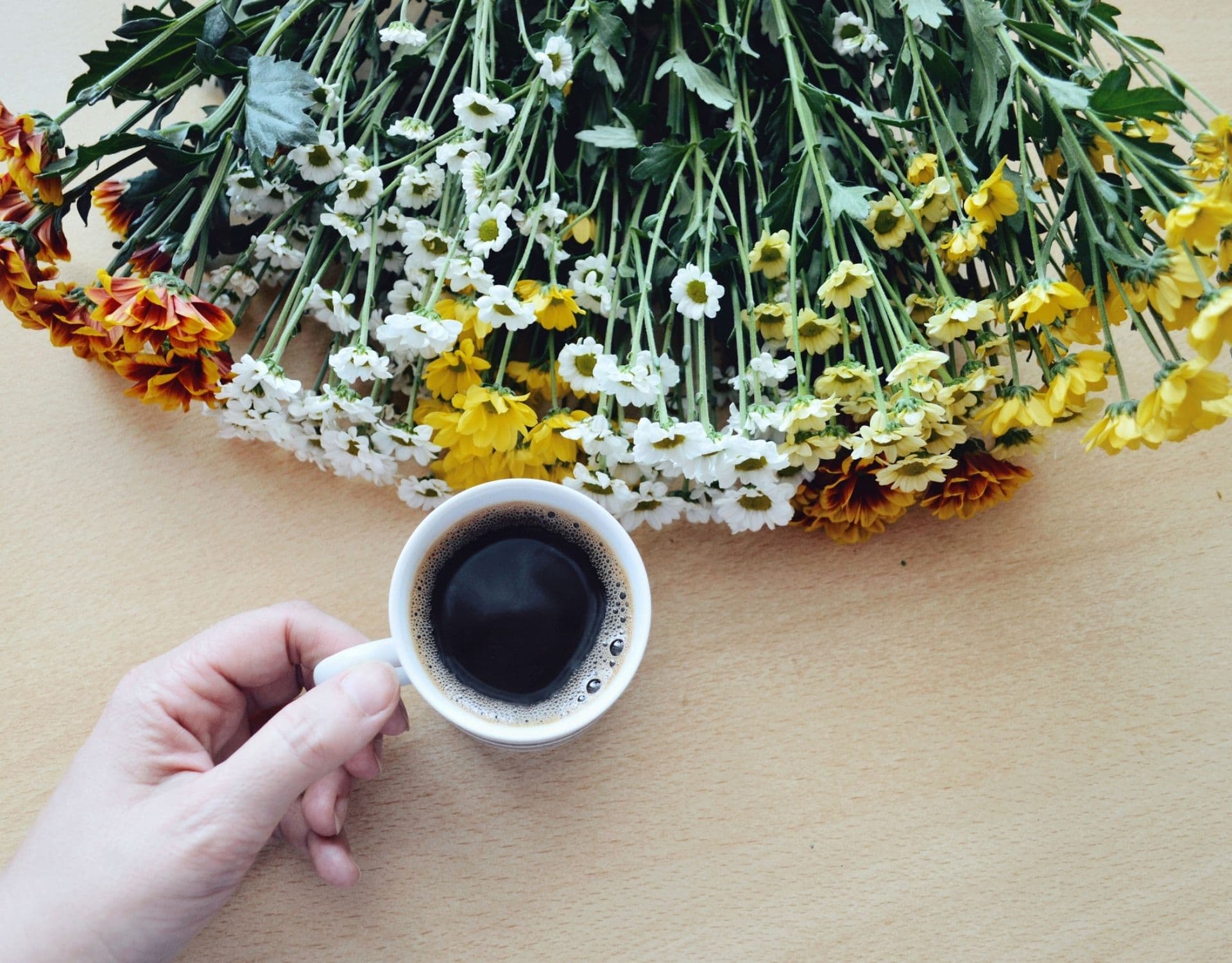 Gegen Mücken & im Garten 5 Ideen, um Kaffeesatz zu