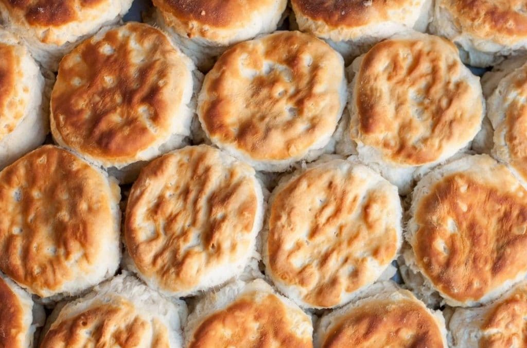 Buttermilch Muffins