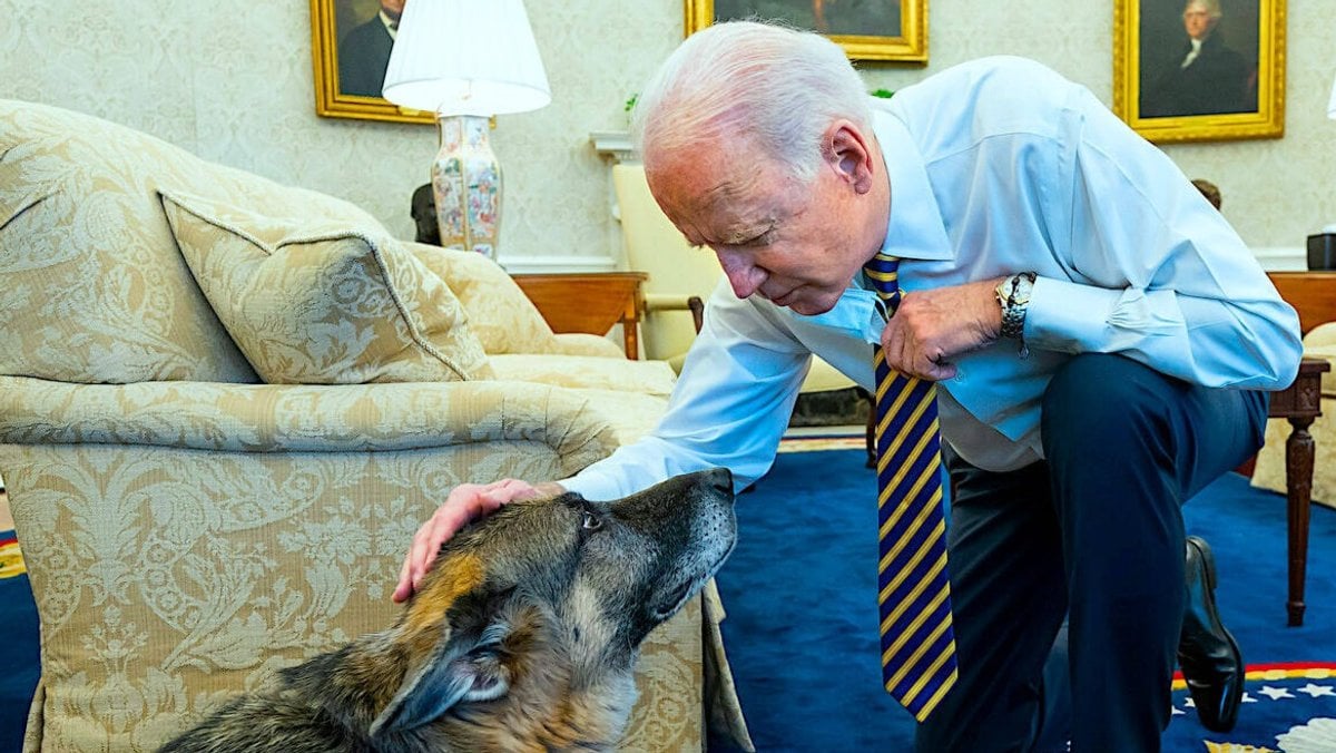 Joe Biden und sein verstorbener Hund Champ.. © imago images/ZUMA Wire