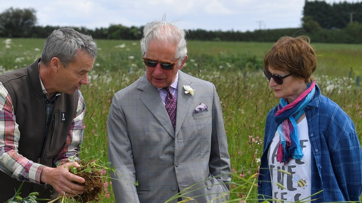 Prinz Charles engagiert sich leidenschaftlich für die Umwelt.. © imago/i Images