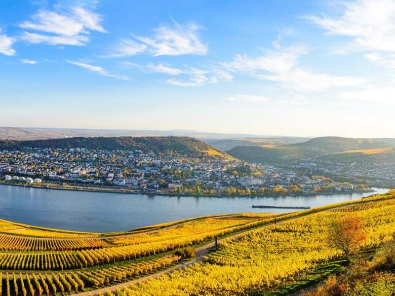 Das Niederwalddenkmal bietet eine traumhafte Aussicht auf den Rhein.. © Shutterstock.com/Mikalai Nick Zastsenski