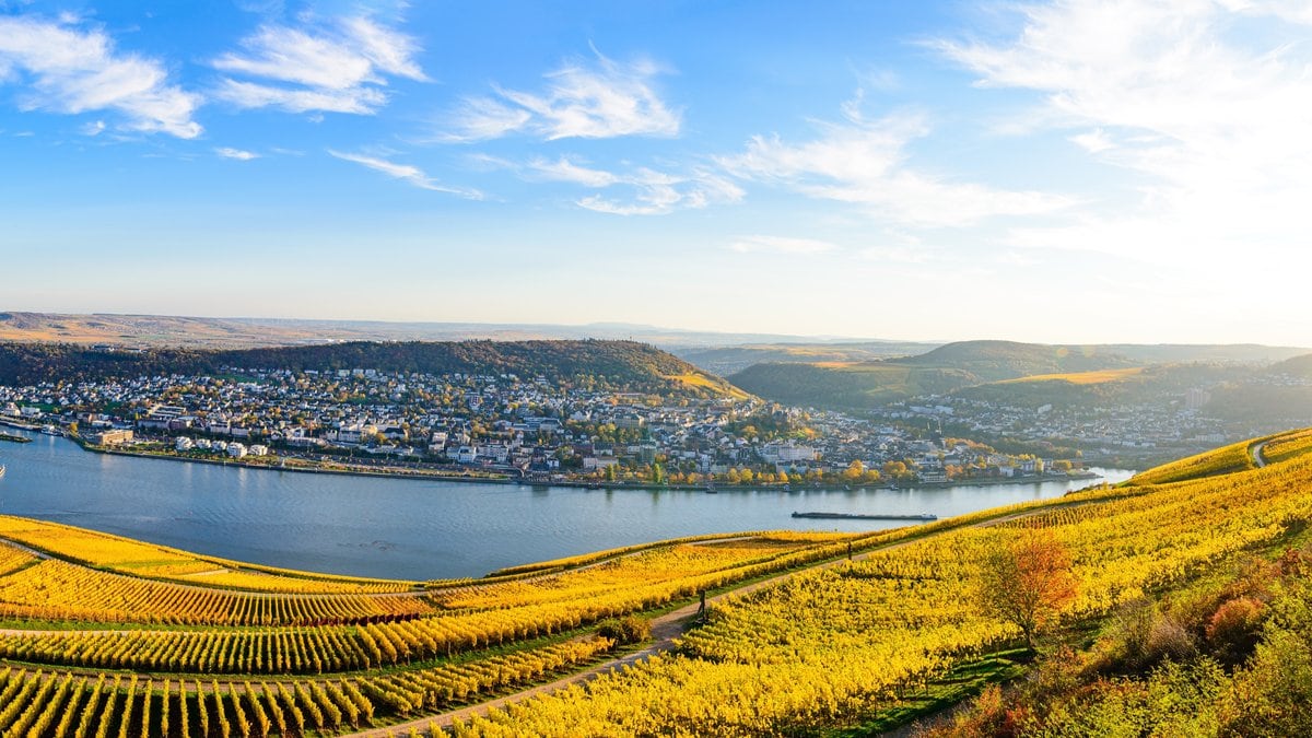 Das Niederwalddenkmal bietet eine traumhafte Aussicht auf den Rhein.. © Shutterstock.com/Mikalai Nick Zastsenski