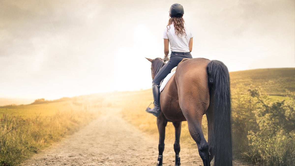 Für Pferdefans ist ein Urlaub auf dem Bauernhof genau das Richtige.. © 2017 Merla/Shutterstock.com