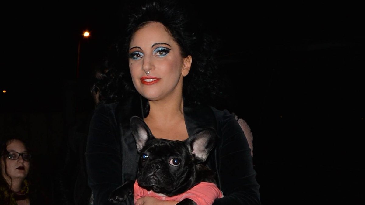 Lady Gaga mit einem ihrer geliebten Hunde.. © imago/Matrix