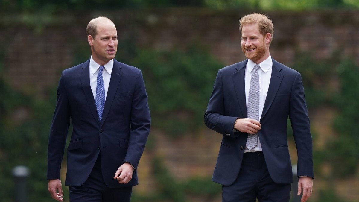 Prinz William und Prinz Harry im Juli bei einem gemeinsamen Auftritt in London.. © imago/i Images