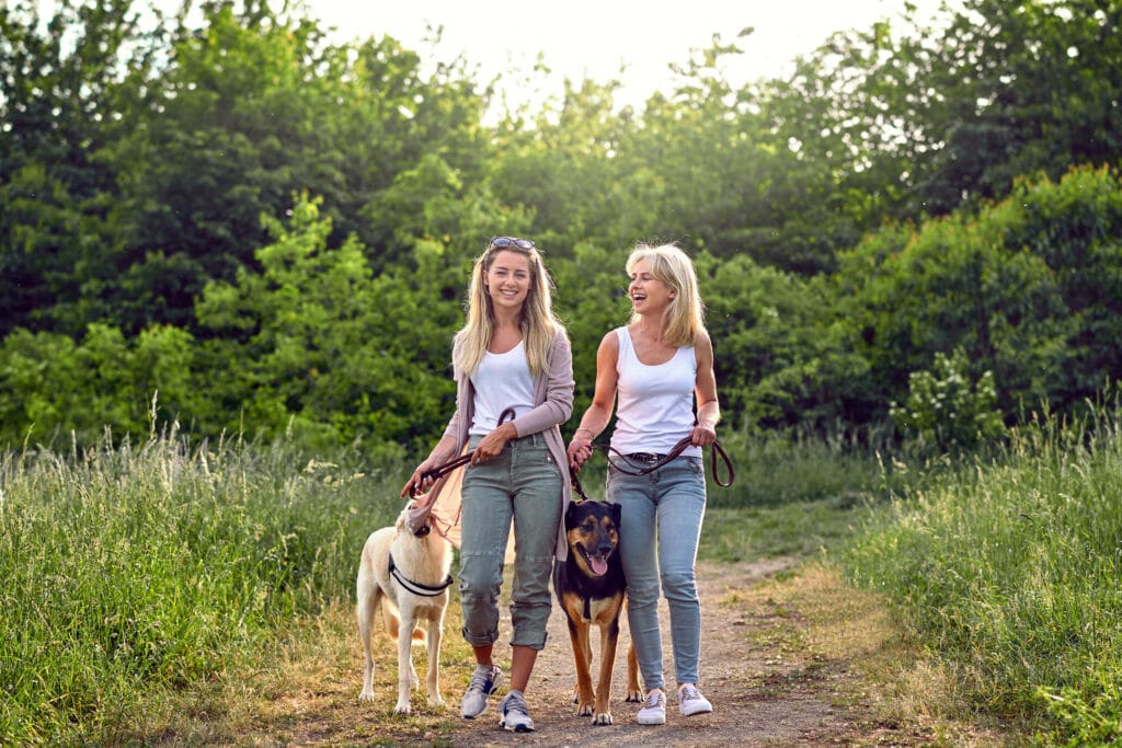 Frauen Hunde